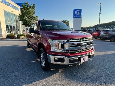Used 2019 Ford F150 XLT w/ Equipment Group 302A Luxury AWD/4WD image 2