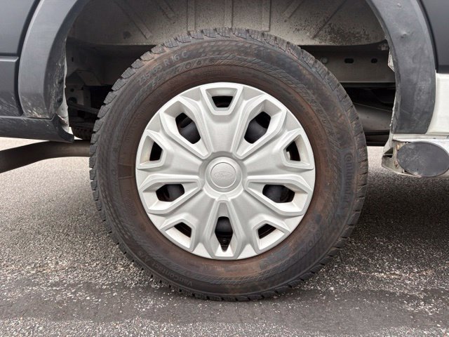 Used 2025 Ford Transit 250 Low Roof w/ Exterior Upgrade Package RWD image 20