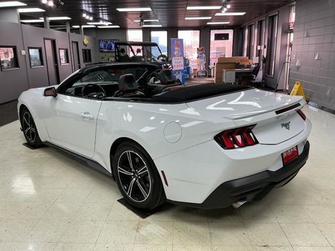 Used 2024 Ford Mustang Premium image 4