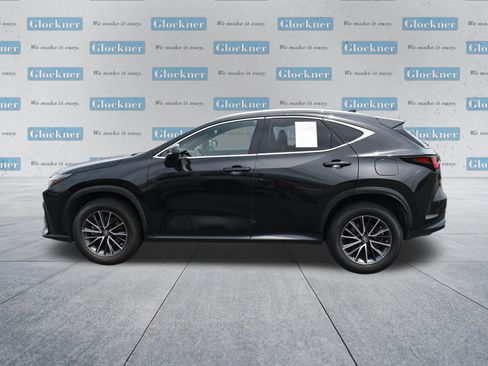Used 2023 Lexus NX 250 AWD w/ Cold Area Package image 10