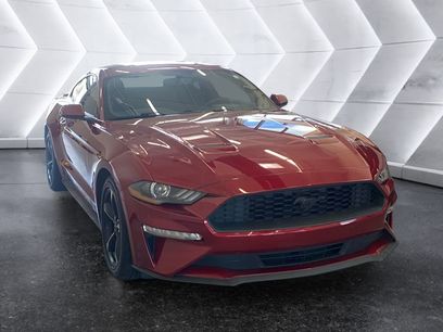 Used 2019 Ford Mustang Coupe w/ Equipment Group 101A