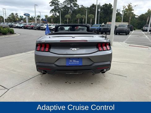 Certified 2024 Ford Mustang Premium RWD image 6