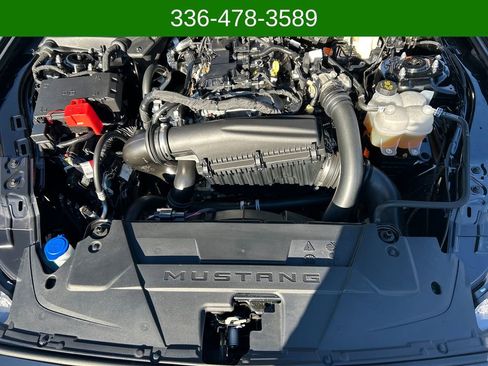 Used 2024 Ford Mustang Coupe image 23