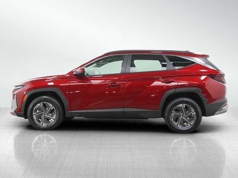 Used 2025 Hyundai Tucson Blue AWD/4WD image 2