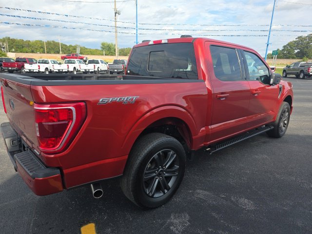 Used 2023 Ford F150 XLT w/ Equipment Group 302A High AWD/4WD image 5