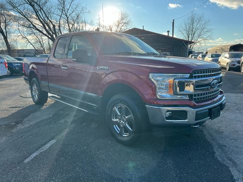 Used 2019 Ford F150 XLT w/ Equipment Group 302A Luxury image 3