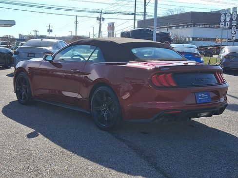 Certified 2019 Ford Mustang GT Premium w/ Black Accent Package image 7