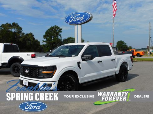 New 2025 Ford F150 STX w/ STX Black Appearance Package image 1