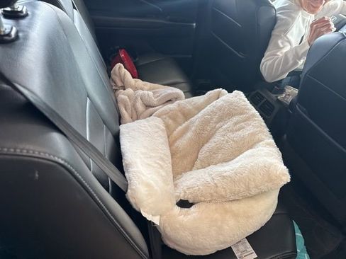 Used 2019 Honda Pilot EX-L image 14