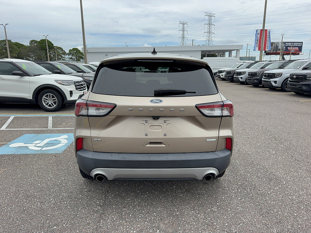 Used 2020 Ford Escape SE FWD image 6