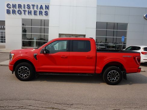 Used 2023 Ford F150 XLT w/ Equipment Group 302A High image 1