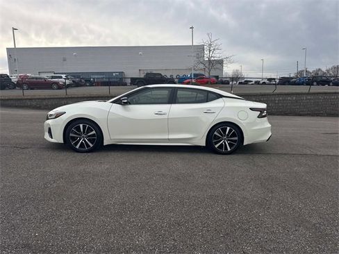 Used 2023 Nissan Maxima SL image 7