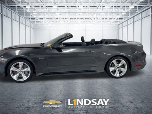 Used 2019 Ford Mustang GT Premium w/ Equipment Group 401A RWD image 6