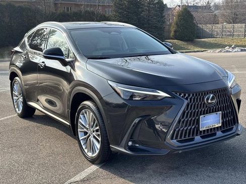 Certified 2025 Lexus NX 350 AWD w/ Cold Area Package image 3