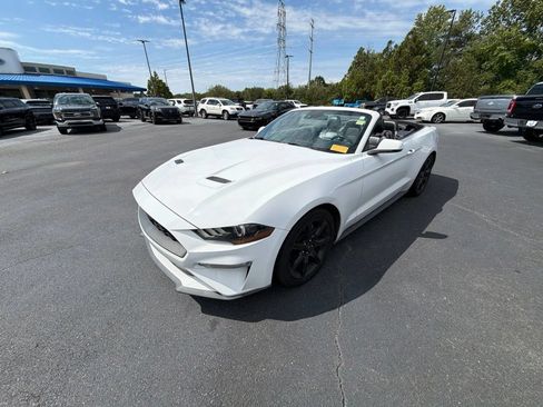 Used 2019 Ford Mustang Premium w/ Equipment Group 201A RWD image 17