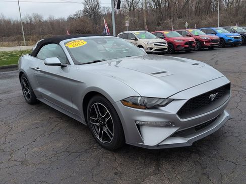 Used 2023 Ford Mustang Premium image 1