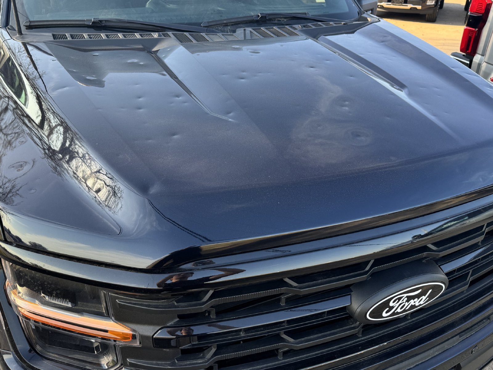 Used 2025 Ford F150 XLT w/ Equipment Group 302A MID RWD image 8