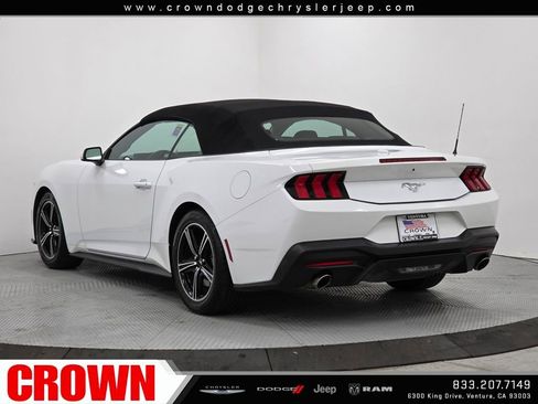 Used 2024 Ford Mustang EcoBoost image 13