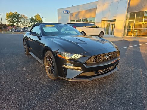 Used 2023 Ford Mustang Premium w/ Equipment Group 201A image 2
