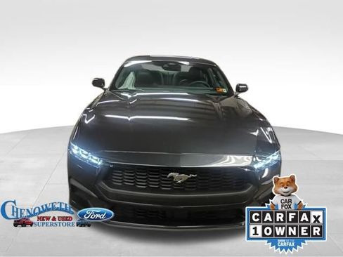 Used 2024 Ford Mustang Premium image 5