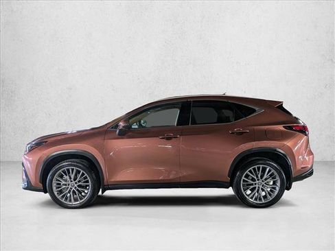Used 2025 Lexus NX 350h AWD w/ Cold Area Package image 9