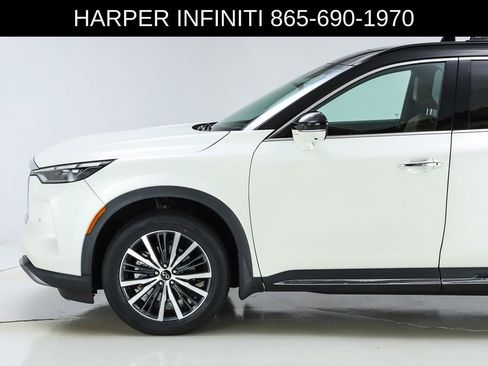 Used 2023 INFINITI QX60 Autograph w/ Cargo Package AWD/4WD image 3