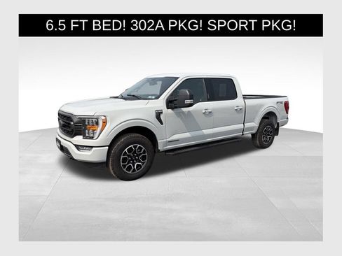 Used 2023 Ford F150 XLT w/ Equipment Group 302A High AWD/4WD image 1