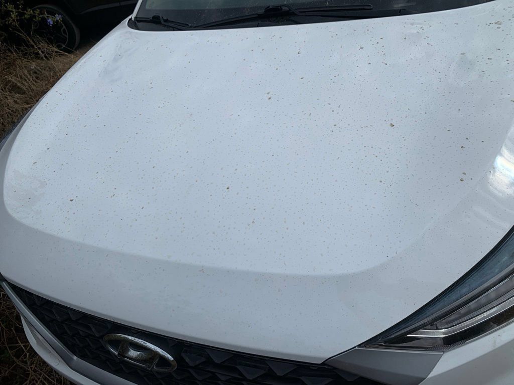 Used 2019 Hyundai Tucson Sport w/ Cargo Package FWD image 3