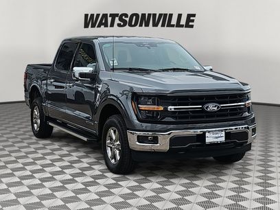 New 2025 Ford F150 XLT w/ Equipment Group 303A High