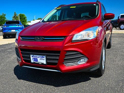 Used 2014 Ford Escape SE w/ Equipment Group 201A AWD/4WD image 11