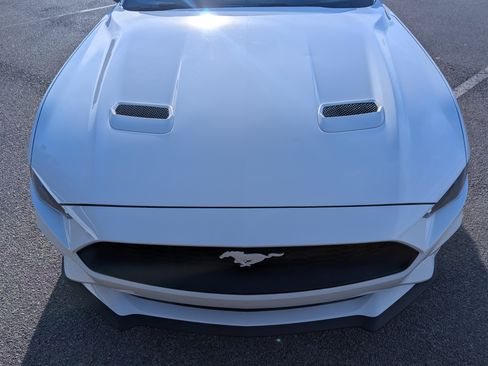 Used 2023 Ford Mustang Premium w/ Equipment Group 201A image 12