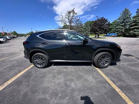 Used 2024 Lexus NX 350h AWD image 2