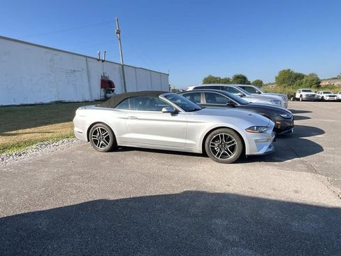 Used 2019 Ford Mustang Premium RWD image 2