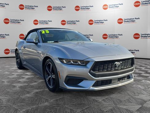 Used 2025 Ford Mustang Premium RWD image 1