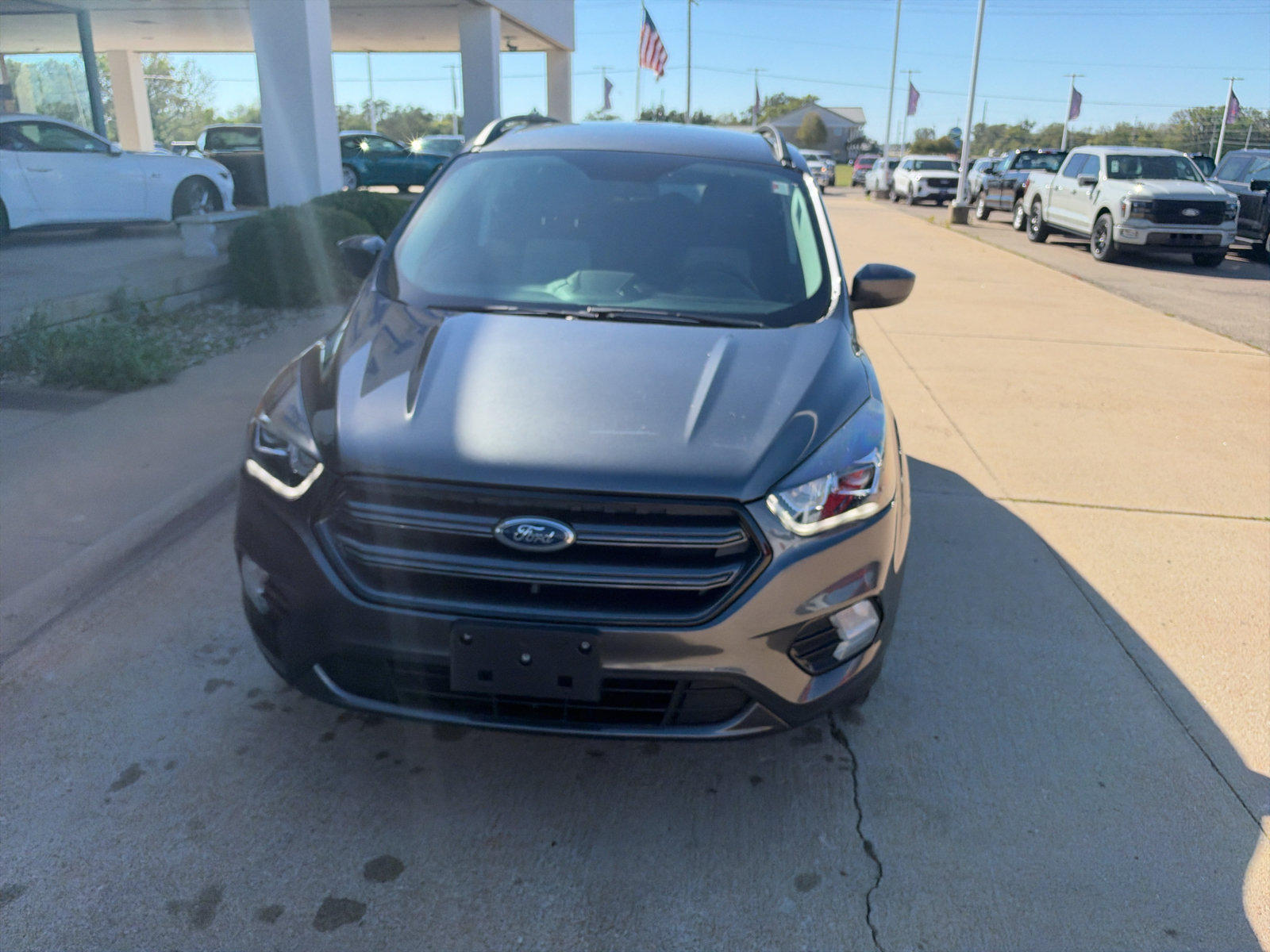 Used 2019 Ford Escape SEL AWD/4WD image 3