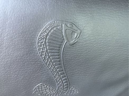 Used 2009 Ford Mustang Shelby GT500 image 14