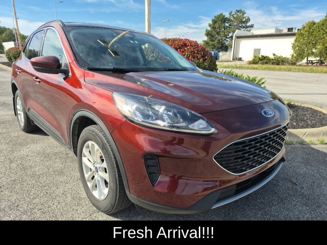 Used 2021 Ford Escape SE w/ Cold Weather Package AWD/4WD image 13