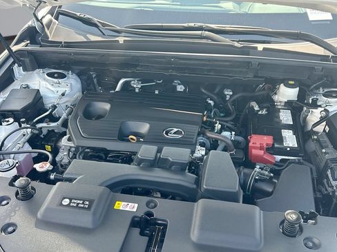 Certified 2024 Lexus NX 250 FWD image 14