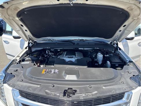 Used 2019 Cadillac Escalade Premium Luxury AWD/4WD image 18