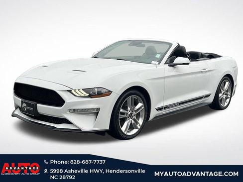 Used 2019 Ford Mustang Premium w/ Equipment Group 201A image 4