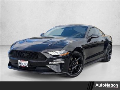 Used 2019 Ford Mustang Premium w/ Equipment Group 201A