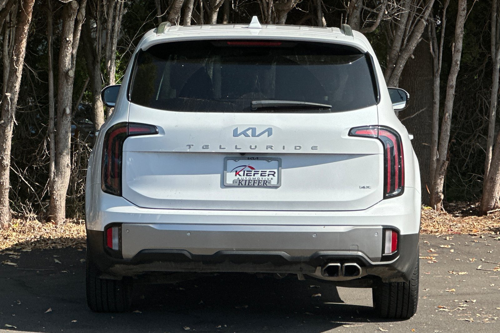 Certified 2025 Kia Telluride SX Prestige AWD/4WD image 5