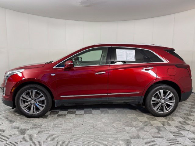 Used 2023 Cadillac XT5 Premium Luxury FWD image 5