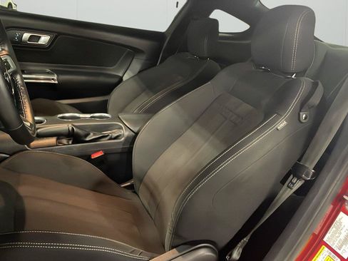 Used 2019 Ford Mustang Coupe RWD image 10