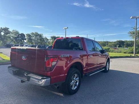 Used 2025 Ford F150 XLT w/ Equipment Group 301A Standard AWD/4WD image 7
