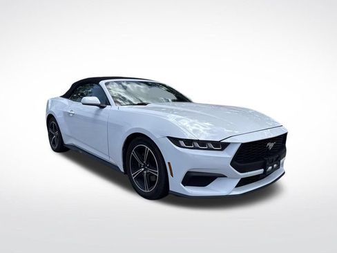 Used 2024 Ford Mustang Premium RWD image 2