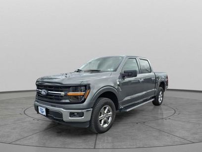 Used 2025 Ford F150 XLT w/ Equipment Group 301A Standard