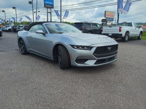 Used 2024 Ford Mustang Premium RWD image 7