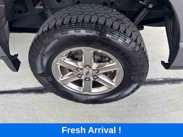 Used 2025 Ford F150 XLT w/ Equipment Group 301A Standard AWD/4WD image 19