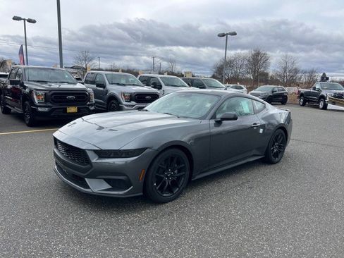New 2026 Ford Mustang Coupe w/ Mustang Nite Pony Package image 10